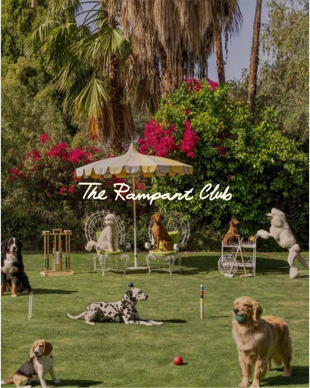 Croquet on the lawn at The Rampant Club